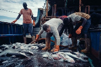 The locals are complaining of being harassed on the seas while the Chinese are allowed