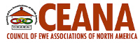 This year's CEANA convention will be held virtually