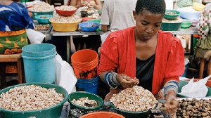 Cashew nut seller