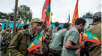 Amhara regional forces