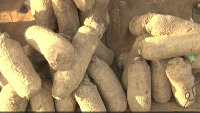 Price of yam increases over 200% in a year.