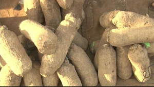 Price of yam increases over 200% in a year.