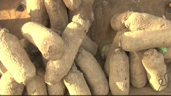 Price of yam increases over 200% in a year.