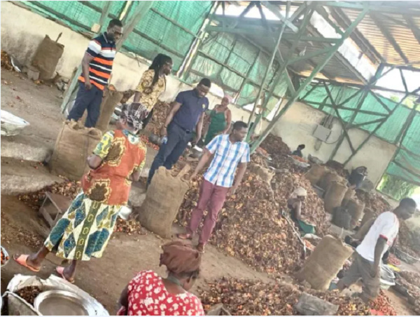 The GSA team being led by the Tema Branch Manager visiting an oil palm mill firm