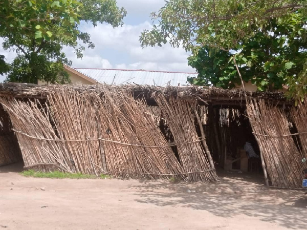 Students learning under sheds