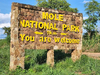 Mole National Park, Ghana's largest wildlife reserve, attracts about 18,000 tourists annually