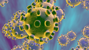 The novel coronavirus (nCoV) is a new strain that has not been previously identified in humans