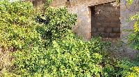 GhanaWeb's visit to the facility saw that weeds had taken over the place