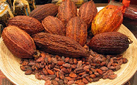 Farmers were sensitized on the new policies and programmes for sustainable cocoa production