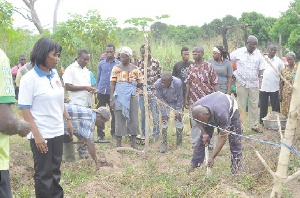 Yam Farmers