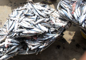 The country's fish stocks are dwindling