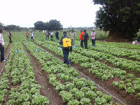 The farmers are worried they may lose their only source of livelihood