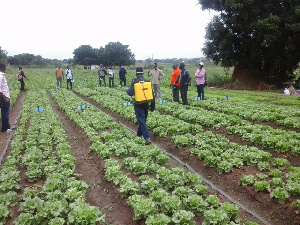 The farmers are worried they may lose their only source of livelihood