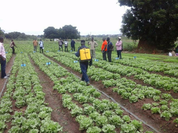 The farmers are worried they may lose their only source of livelihood