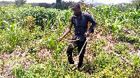 One of the farmers working on his farm