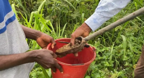 68% of soils in Amansie East, Bosomtwe, Bosome Freho acidic due to excessive fertilizer application