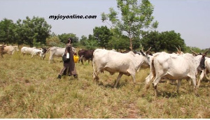 Farm owners and residents usually have clashes with Fulani herdsmen