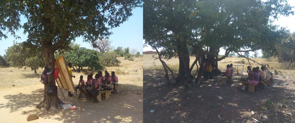 File photo of schools under trees