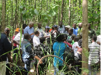 Godwin Kowero is optimistic the forestry industry will grow with time