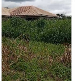 The clinic, meant to improve local healthcare, is now overgrown and unused