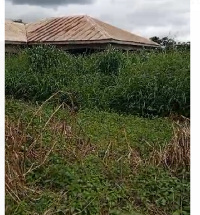 The clinic, meant to improve local healthcare, is now overgrown and unused