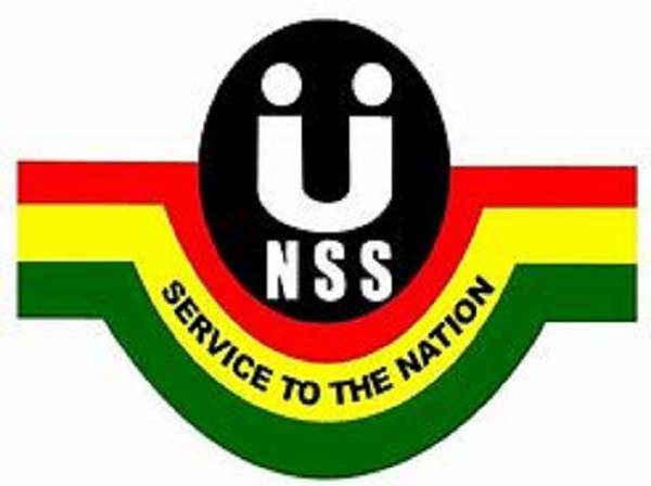 NSS logo