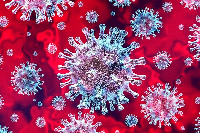 Coronavirus file photo