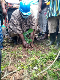 GHaFFaP urges farmers to protect trees