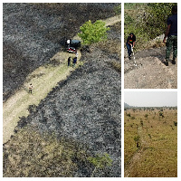 Shai Hills also has vast coastal vegetation areas