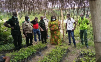 Madam Martha Kwayie Manu, Deputy CEO of the Forestry Commission