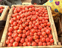 File Photo: Prices of tomatoes have skyrocketed in recent times