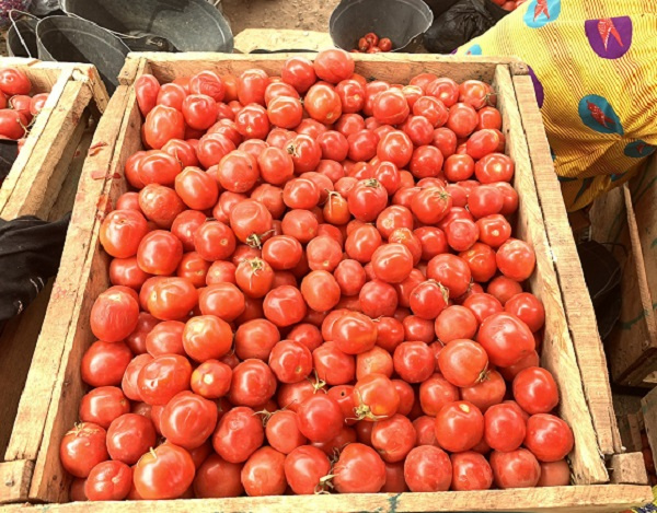 The hike in prices of tomatoes continues to derail businesses in Bolgatanga