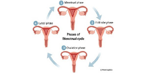 Menstruation Vijay