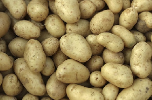 Frafra Potatoes Irish Potato