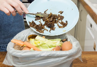 Food Wastage