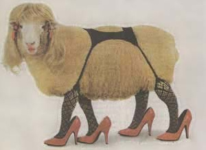 Sheep Dressed