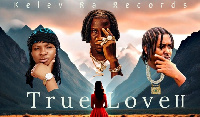 Cover art of True love remix