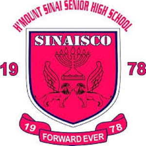 Mount Sinai Shs.jpeg