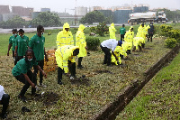 Symbolic tree planting exercise by management and union representatives despite heavy downpour