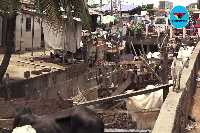 A cattle rearing site along the Nima gutter