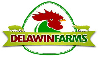 Managing Director of Delawin Farms Limited won the position of Best Farmer in his municipality