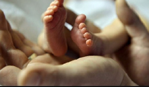 Baby Feet BBC