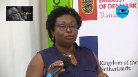 Dr Angela Dwamena-Aboagye, Member of the Civic Forum Initiative (CIF)