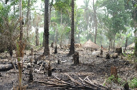 File photo: The Forestry Commission  has also seized excavators and other mining equipment