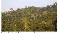 Atewa Range Forest Reserve