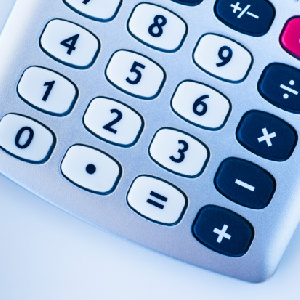 Budget Calculator18Nov2010