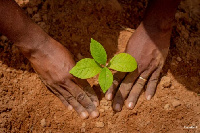 This pledge comes amidst Ghana's ongoing environmental challenges