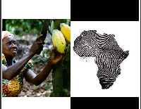 Ghana and Ivory Coast produce over 60% of the world's cocoa