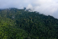 Atiwa forest