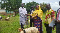 Hon Hajia Ayishetu presents sheep to PWD